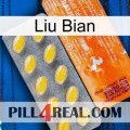 Liu Bian new05